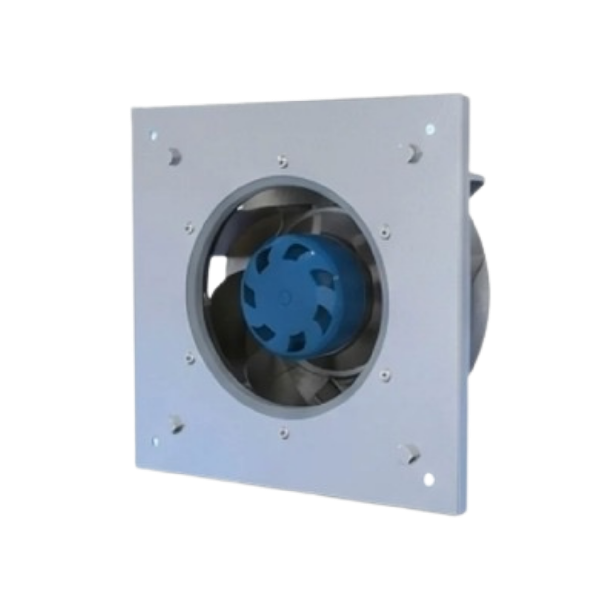 Zentri-Pac Blauberg